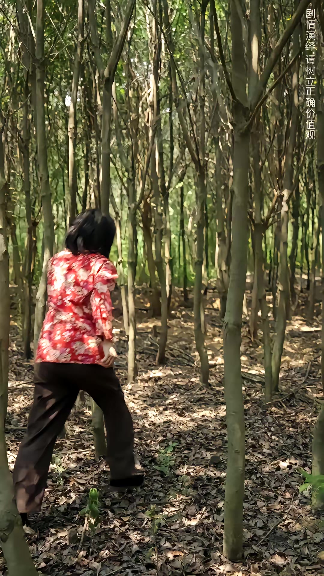 《鼠影重重》劇照