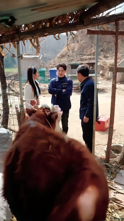 《人在鄉村扯犢子，珍獸找上門來了》劇照