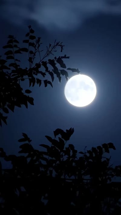 《我许愿老婆变美后》剧照