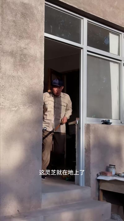 《蛇咒》劇照