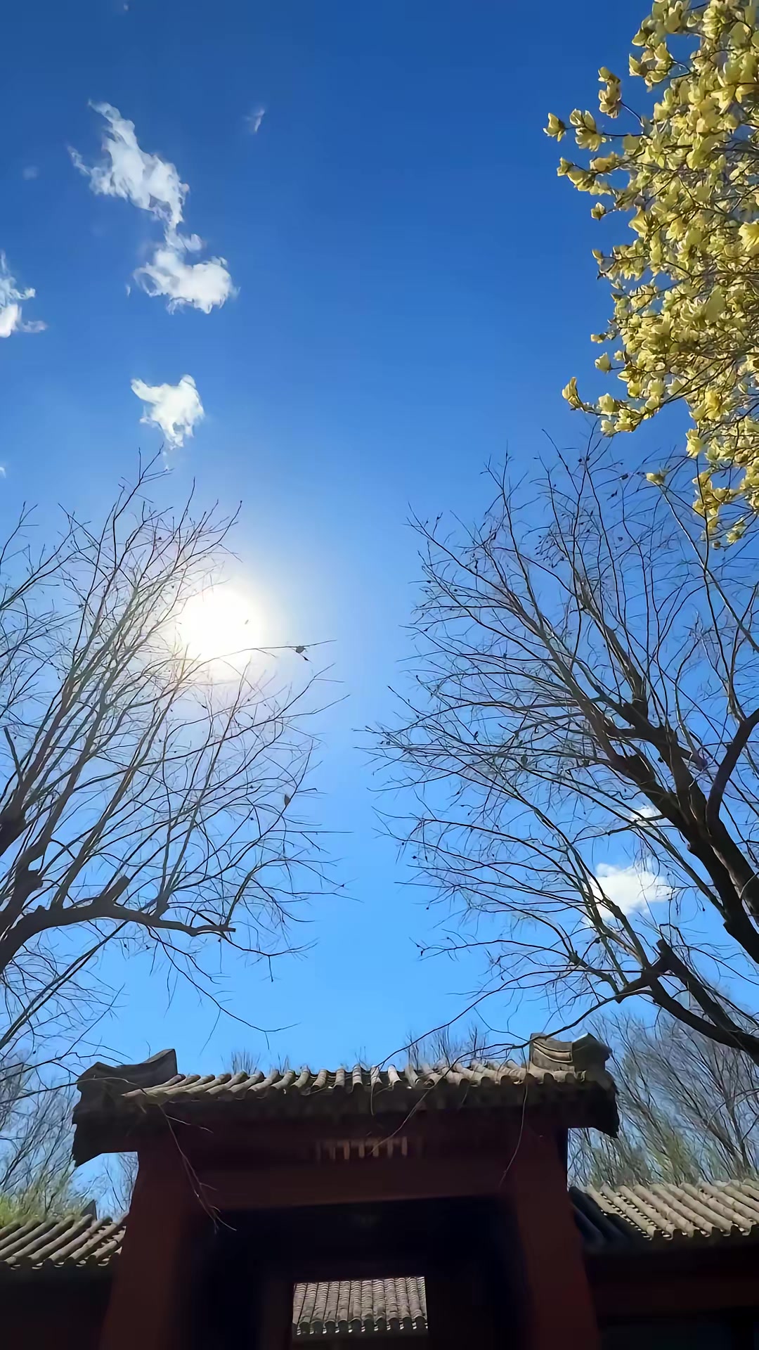 《我是厨神学院唯一小师妹3》剧照