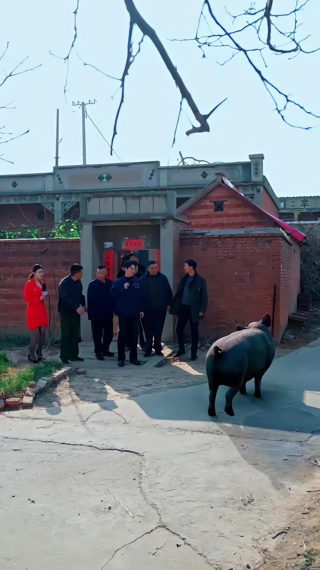 《人在鄉村扯犢子，珍獸找上門來了》劇照