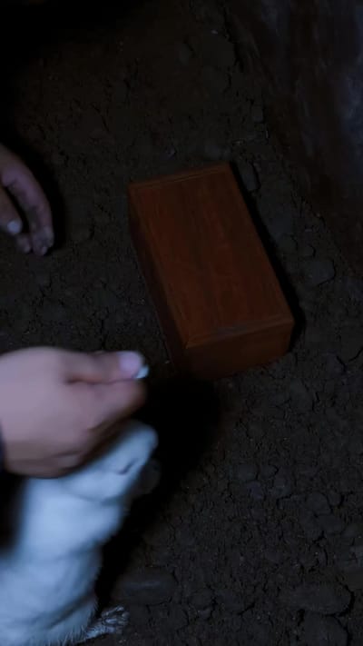 《兔怨》劇照