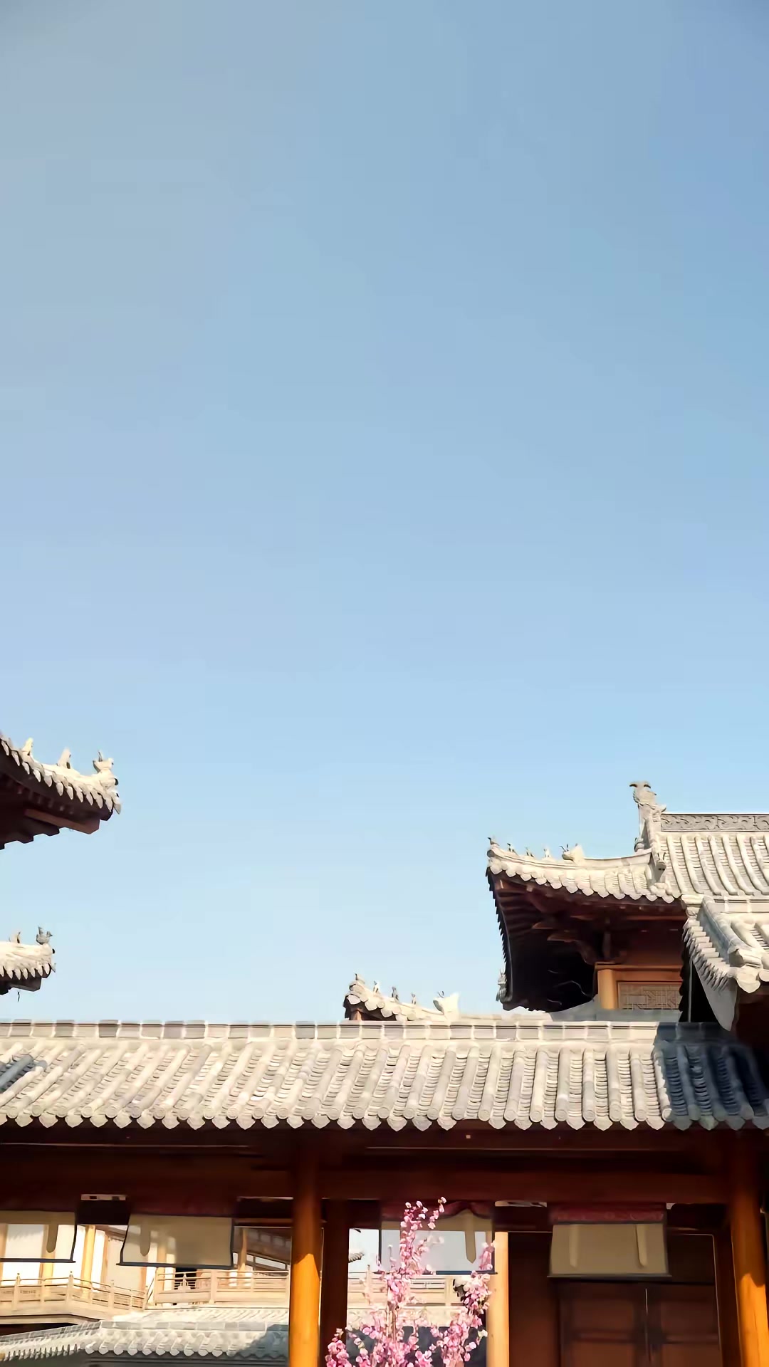 《桃花夭夭诀师尊》剧照