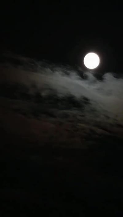《深潭山龜》劇照