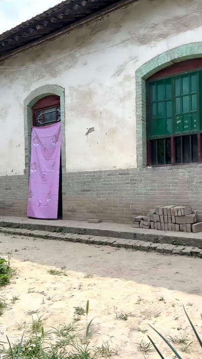 《向阳花》剧照