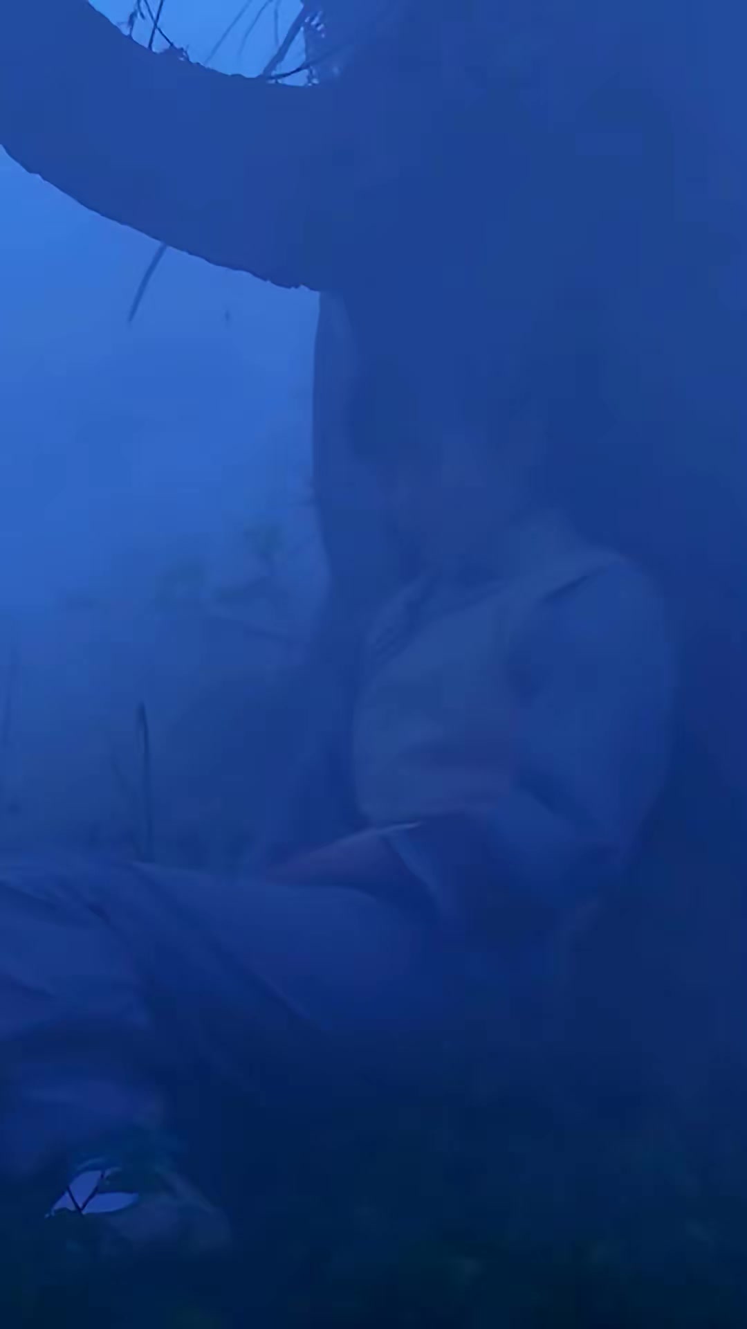 《禁地勿入》劇照