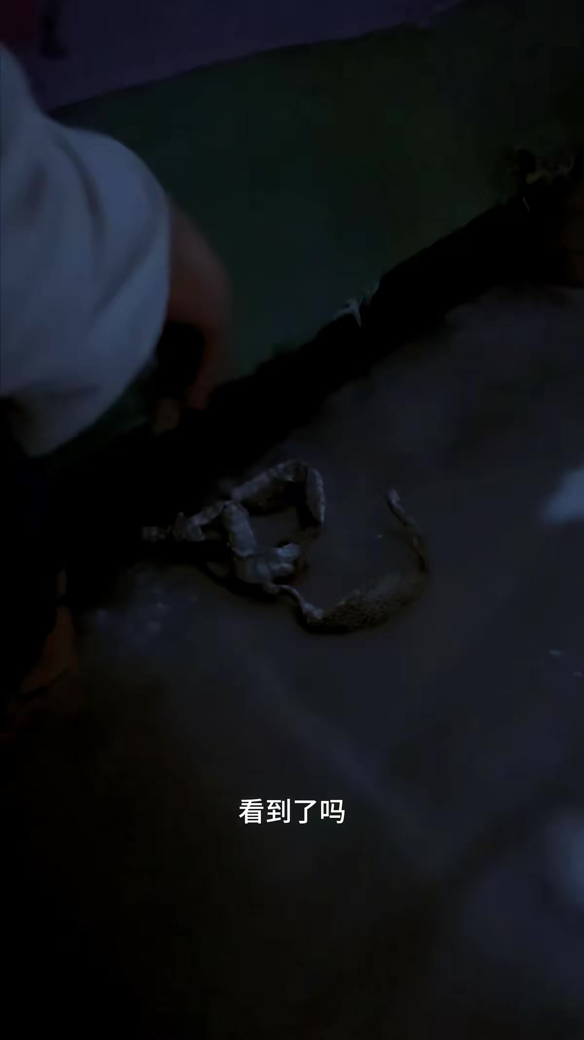 《蛇咒》劇照
