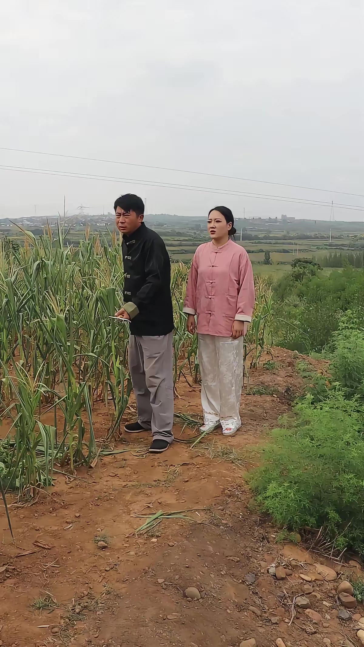 《蜜獾惊魂》剧照