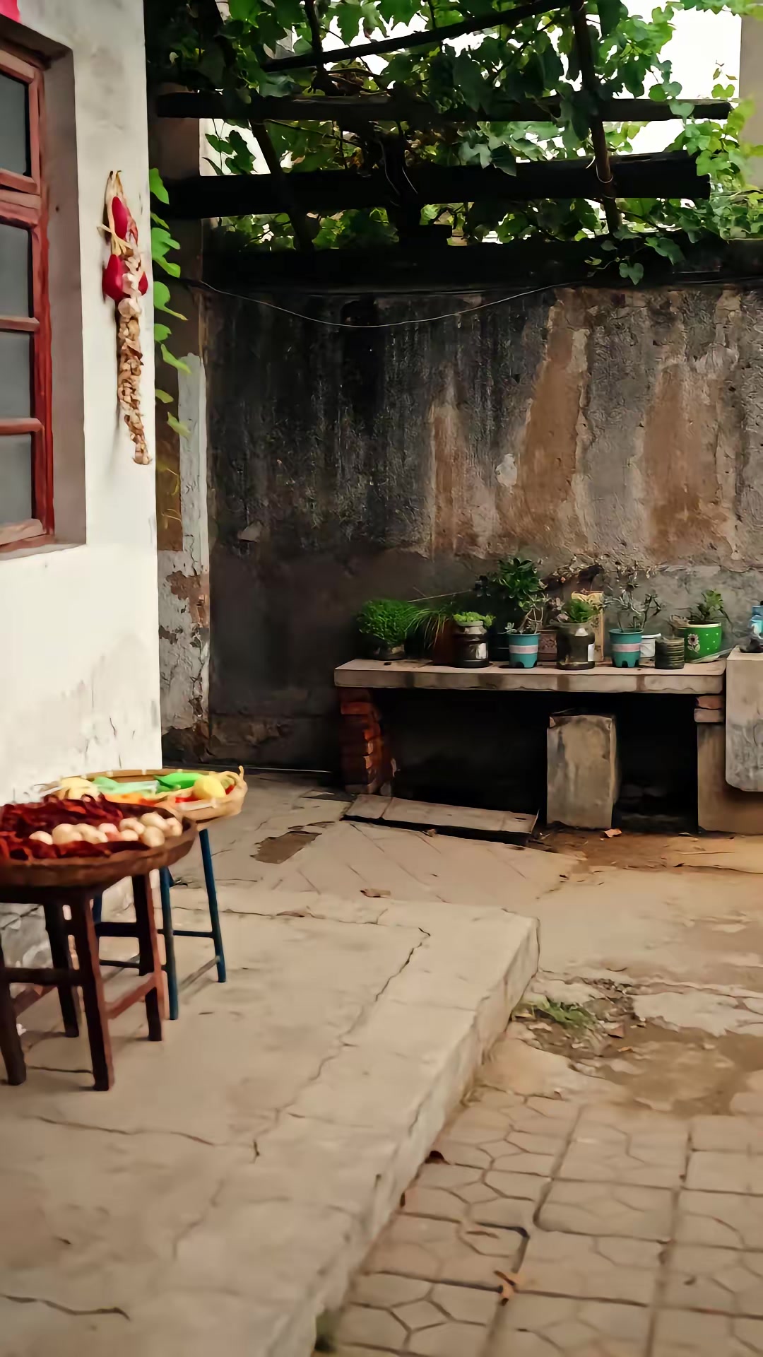 《重生九零，赵老太的逆袭生活爽翻天》剧照