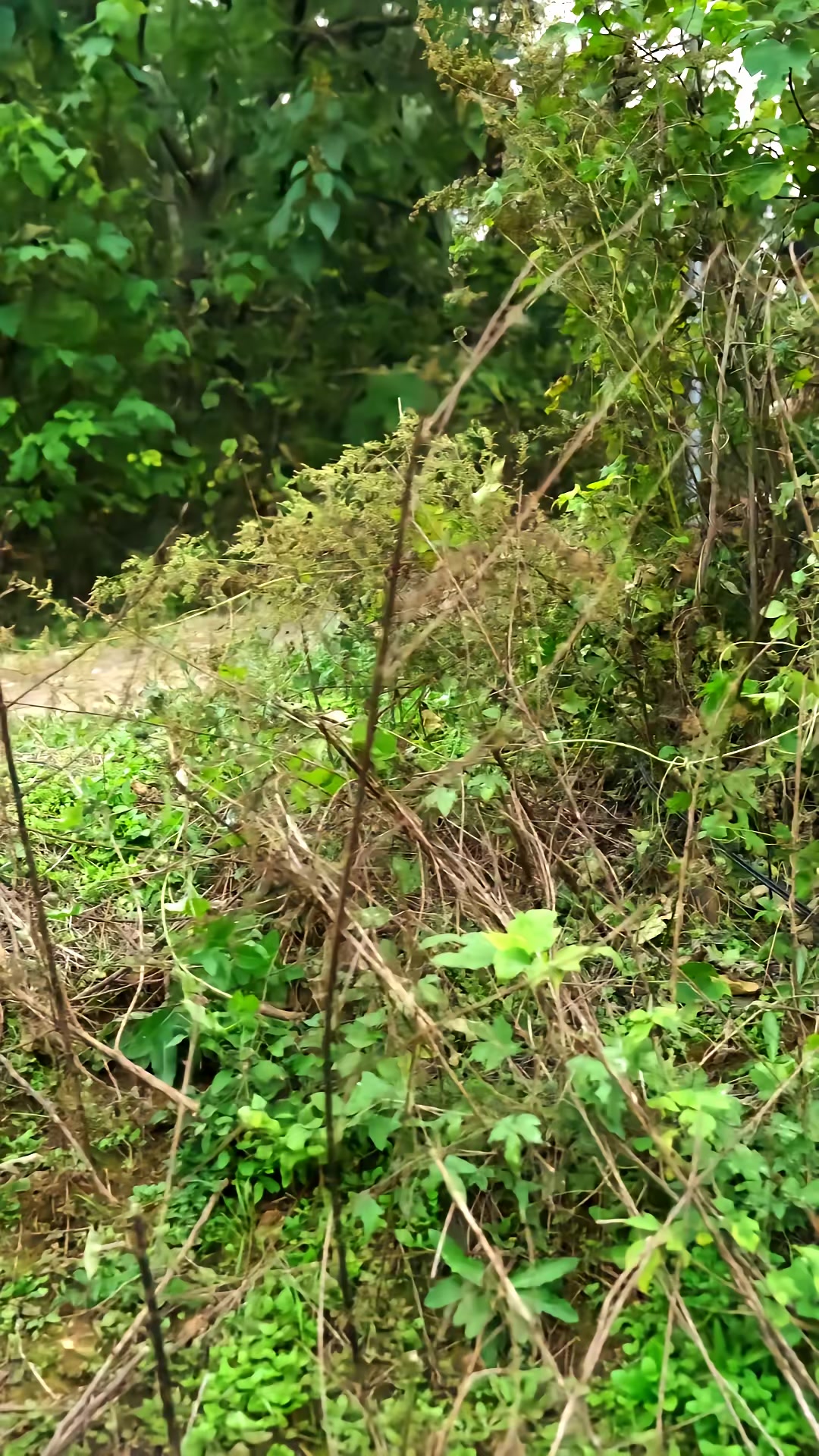 《我有一家通灵超市》剧照