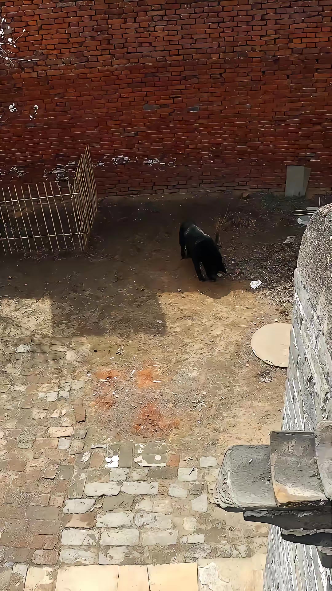 《血狼劫》劇照