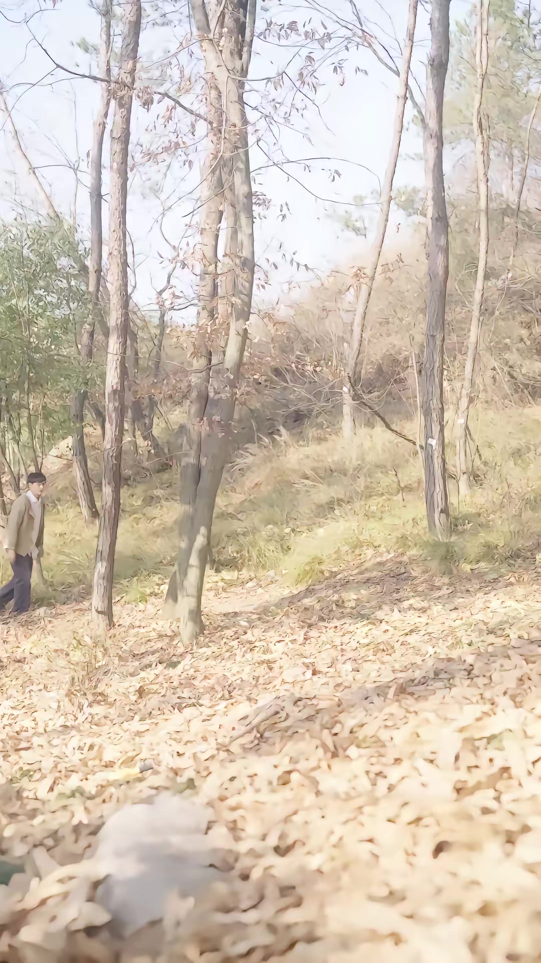 《鴛鴦嫁》劇照