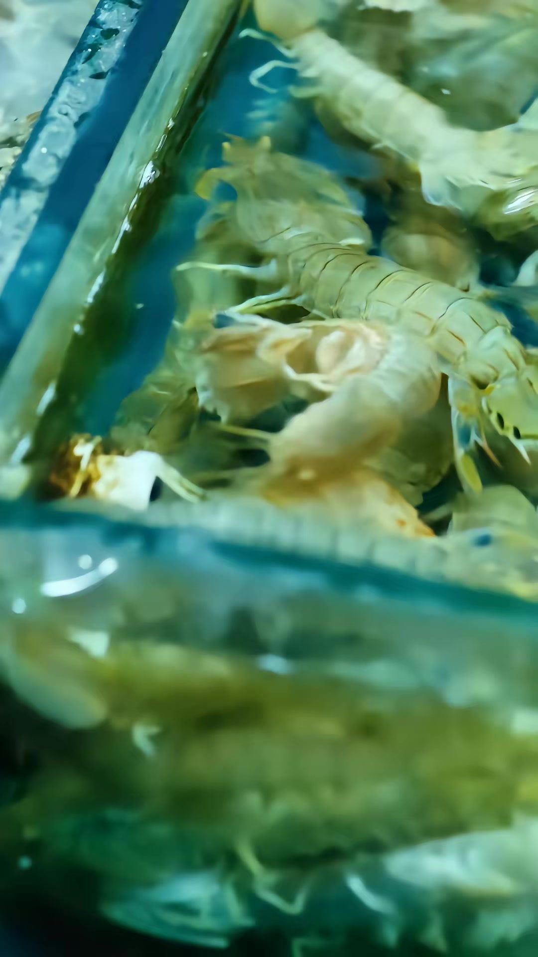 《陰影裡的嫌疑人》劇照