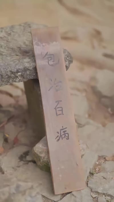 《督军想造福人类之小神医》剧照
