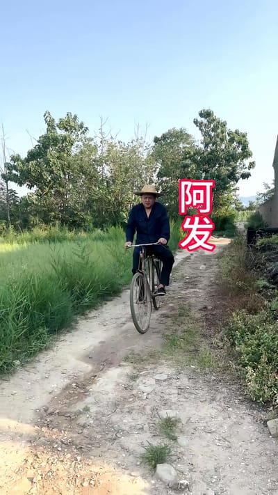 《向阳花》剧照