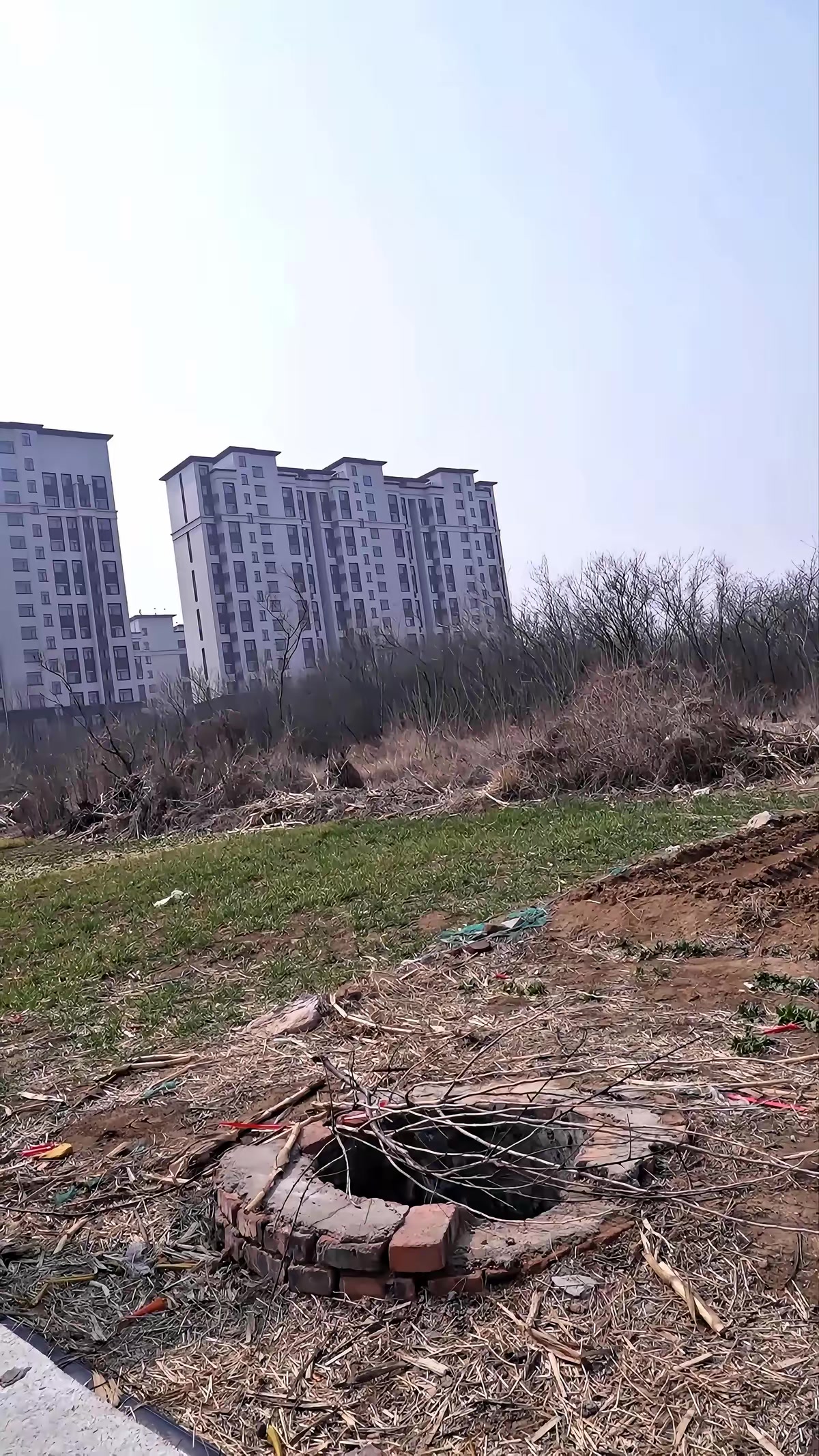 《神犬錘錘之緊急救援》劇照