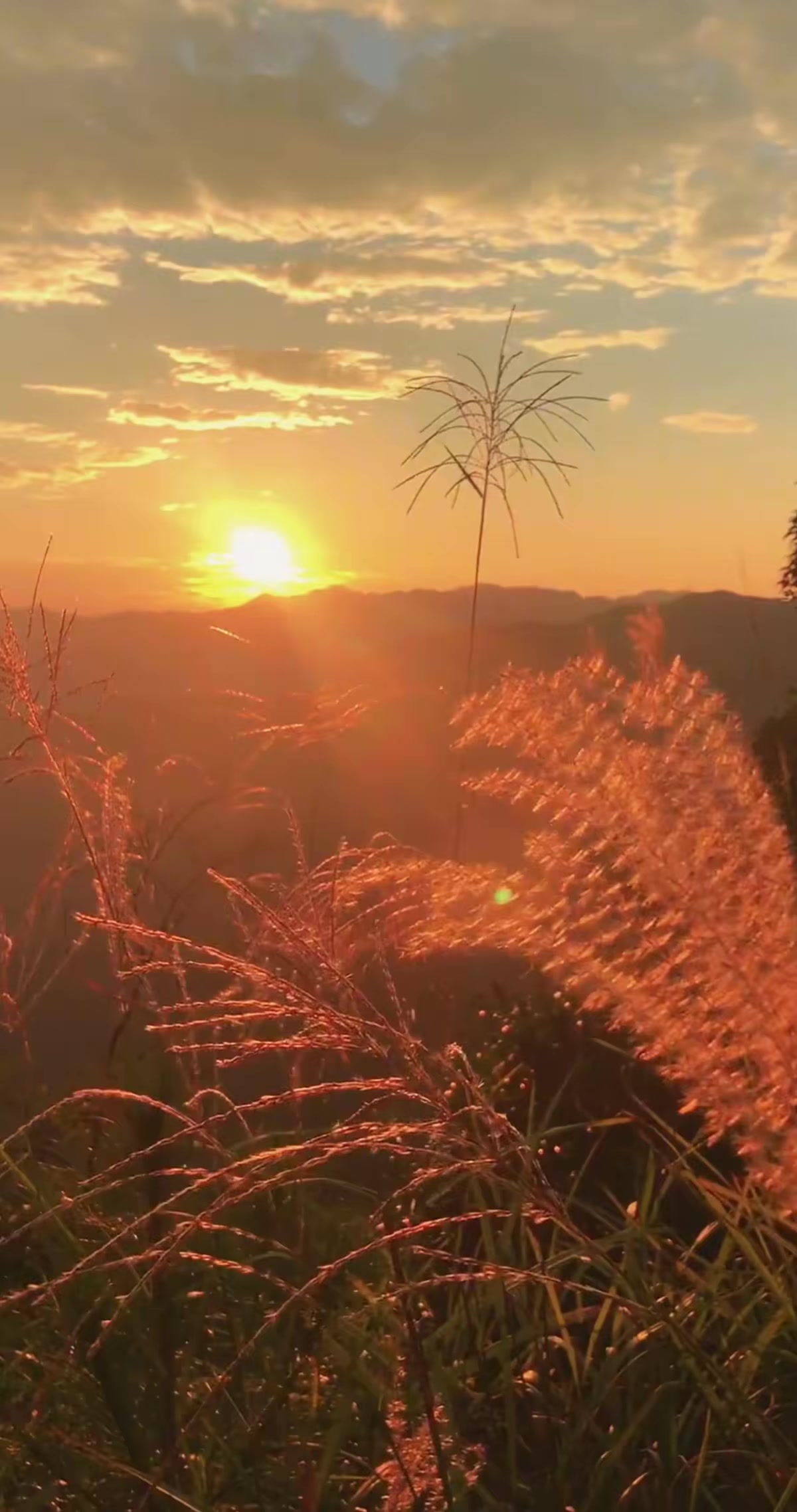《深潭山龜》劇照