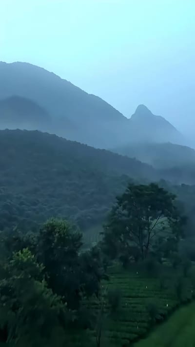 《情廬》劇照