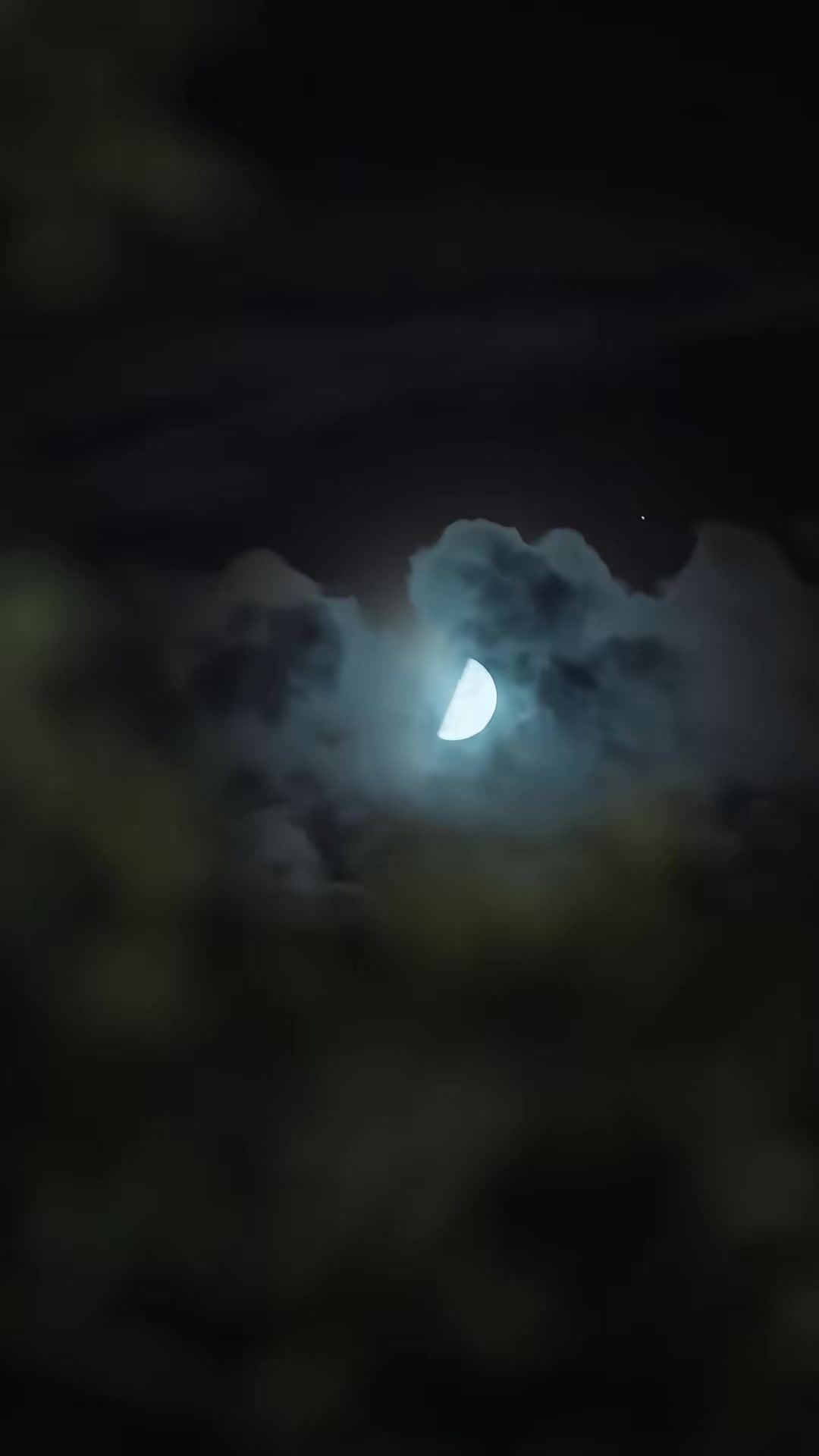 《靈蛇怒》劇照
