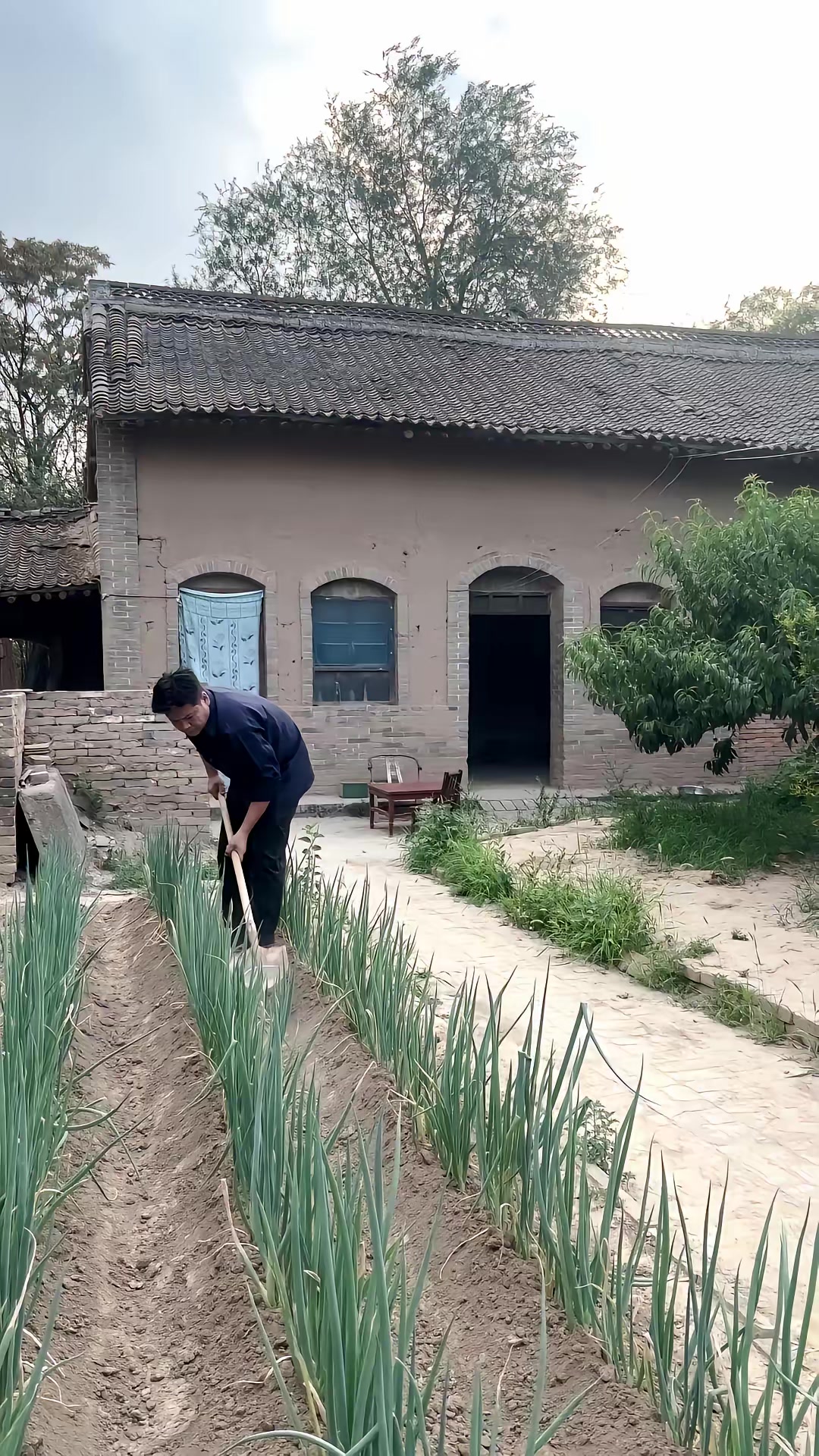 《向阳花》剧照