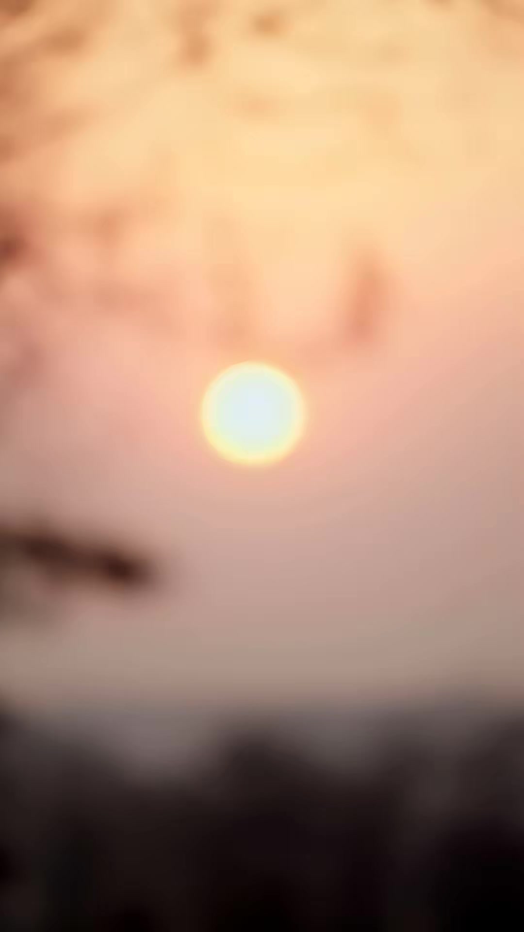 《人在鄉村扯犢子，珍獸找上門來了》劇照