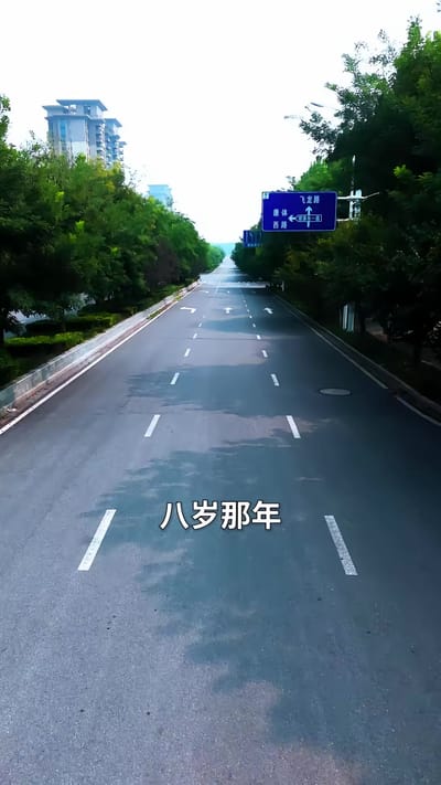 《滬上風雲：我的上海姐姐》劇照