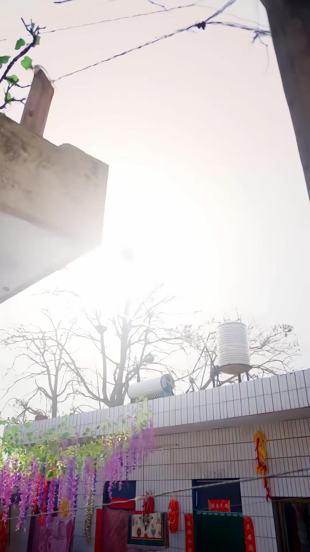 《人在鄉村扯犢子，珍獸找上門來了》劇照