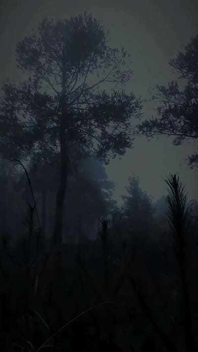《盜墓詭事》劇照