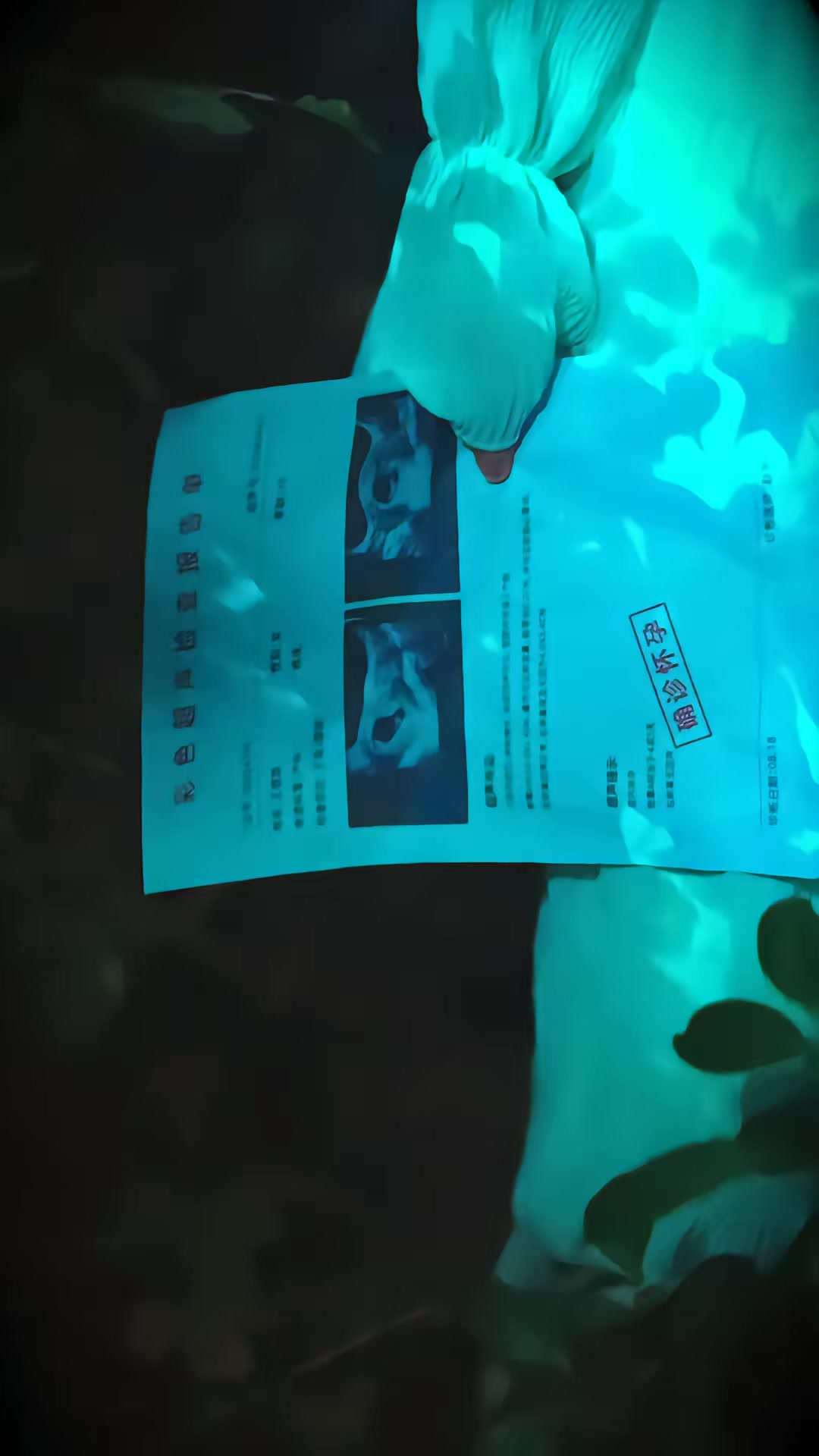 《引TA入墓》剧照
