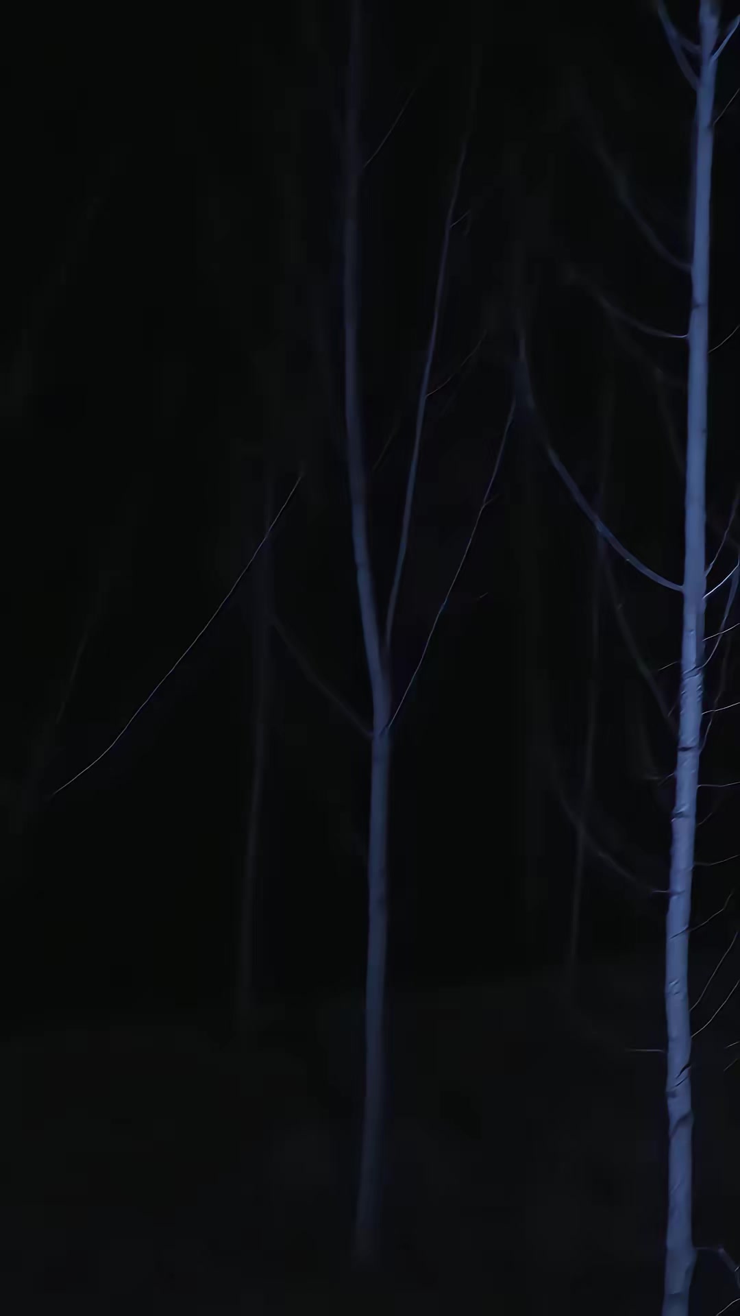 《血狼劫》劇照