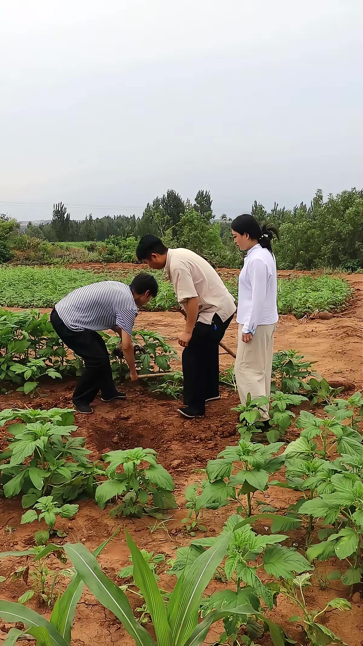 《面具惊魂》剧照