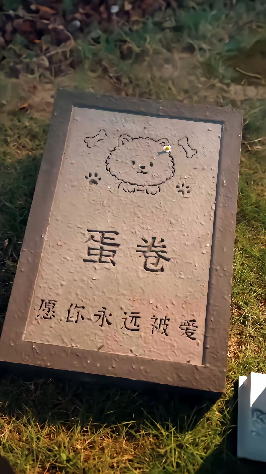 《半醒暮色》剧照