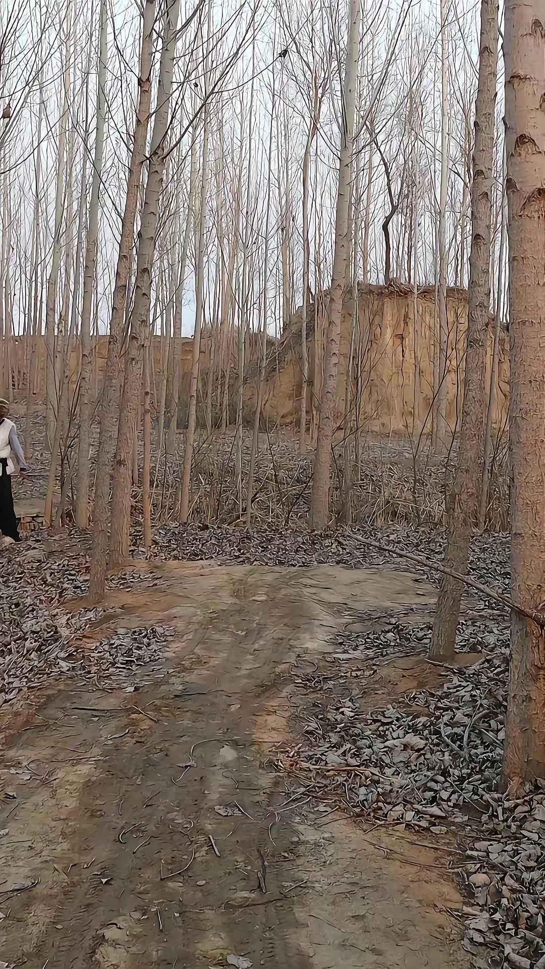 《血狼劫》劇照