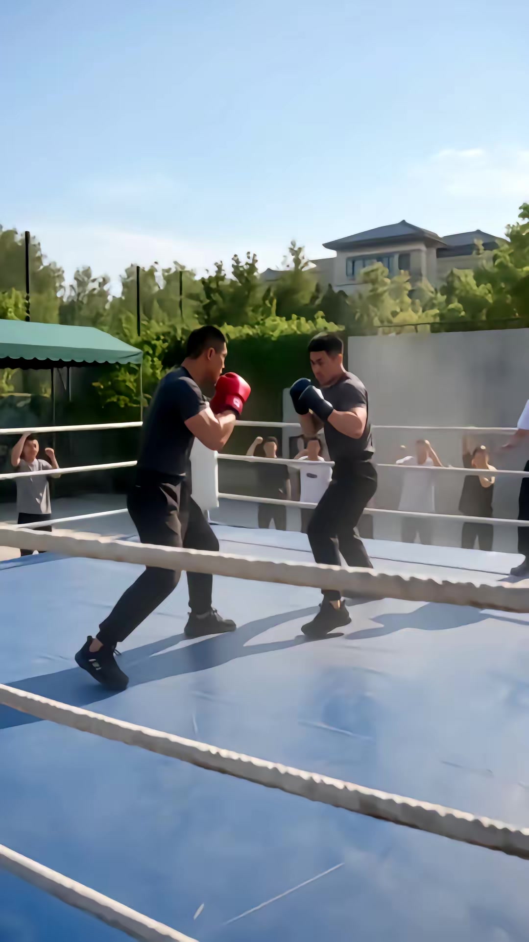 《龍主歸來！》劇照