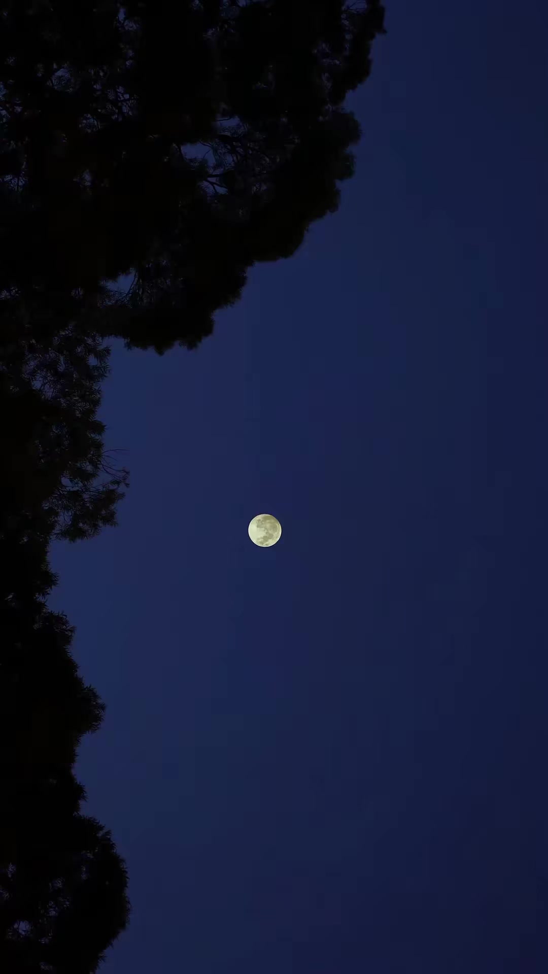 《暴躁辣媽，在線整頓家風》劇照
