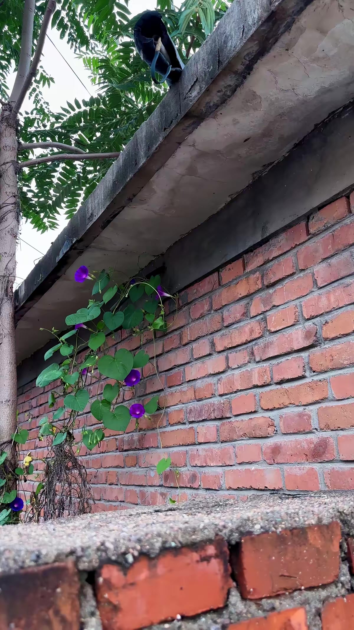《老宅詭事》劇照