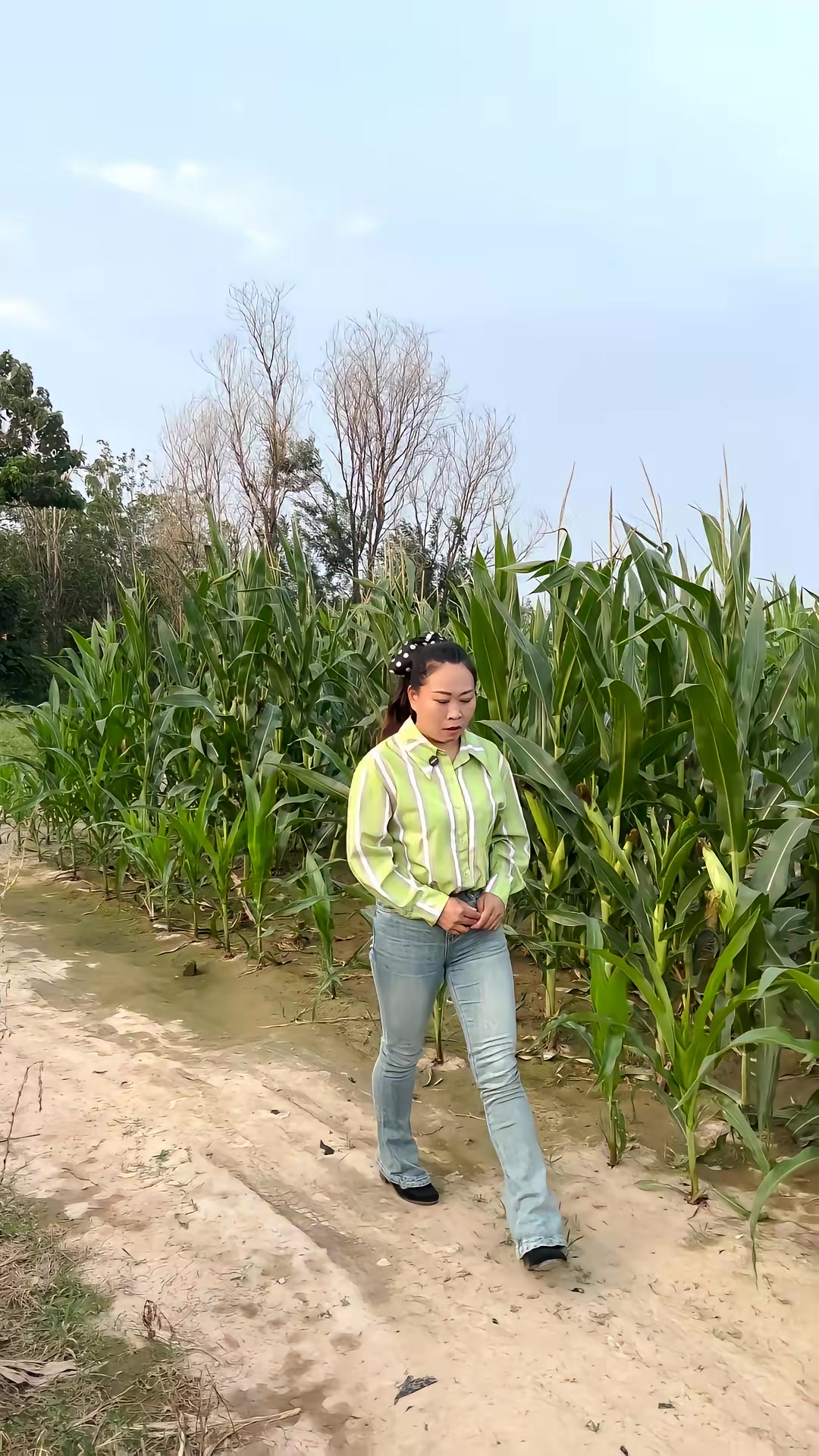 《向阳花》剧照